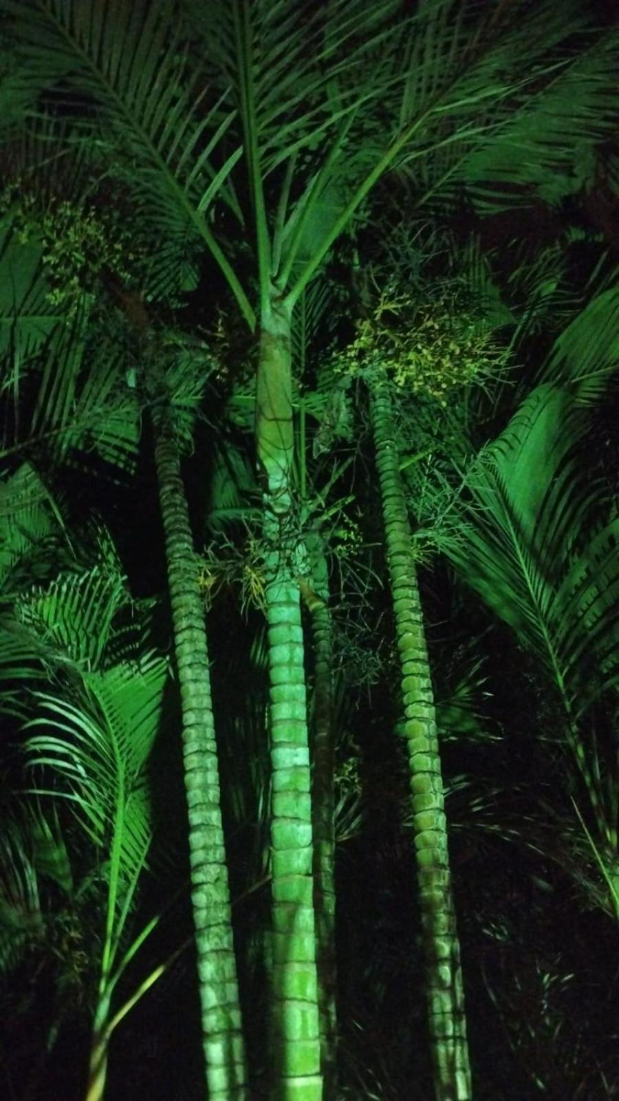 Casa Cajarana Albergue *